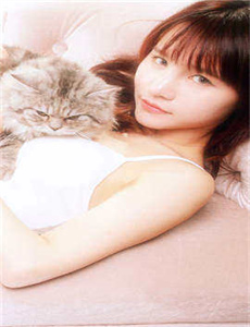 契约圣女